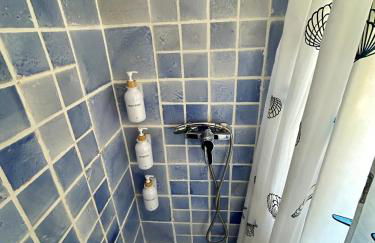 La Washingtonia - Foto 73