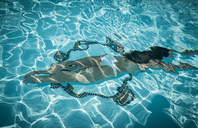 Résidence Terra Théa - Foto 23