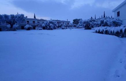 Architect designed house with pool and private beach - Photo 33