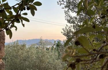 Private apartment in Marathonas, Aegina - Foto 25