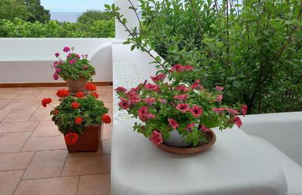 Agriturismo SoleMare - Foto 10