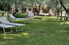 La Teodolinda - Foto 2