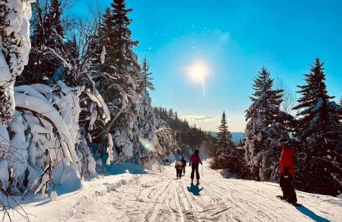 Contemporary Magic Mountain Chalet Close to Skiing, Hiking, Fun - Foto 29