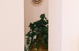 Dalla Pizzichicca - Photo 16