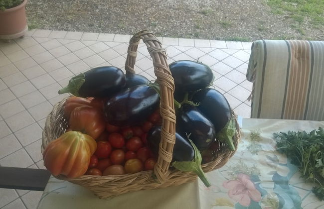 Farmhouse Paradiso - Foto 52