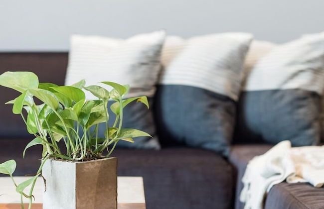 Life Boutique Condo - Foto 29