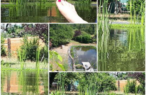 Ferienwohnung am Schwimmteich 3 - Photo 10