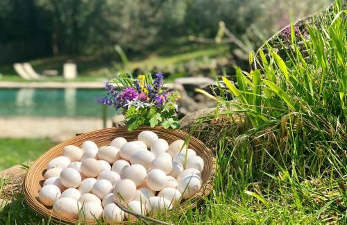 La Cerreta - Terme di Sassetta - Foto 80