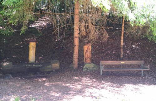 Ferienwohnung Belchenliebe - Foto 15