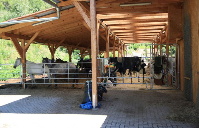 Chalet in Liebenfels Near ski Area - Foto 34