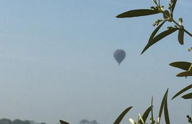 Studio de Charme "Le Coquillage " Jacuzzi privatif - Foto 41