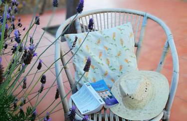 MAS DEL VENT- Barbacoa, jardín, piscina privada y vistas a mar - Foto 27