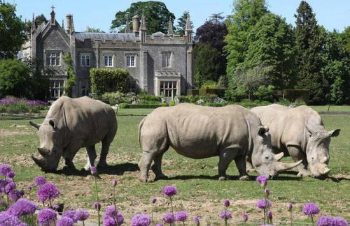 Wishbone Cottage In The Cotswolds - Foto 52