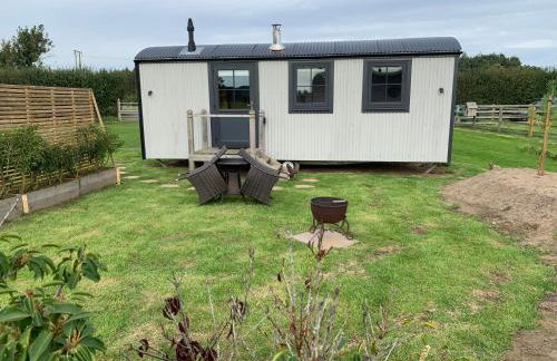 Springwood Shepherd Huts Glamping York - Photo 4