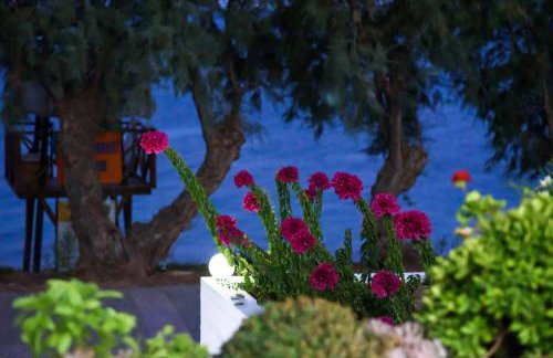 Aliki Studios - Foto 29