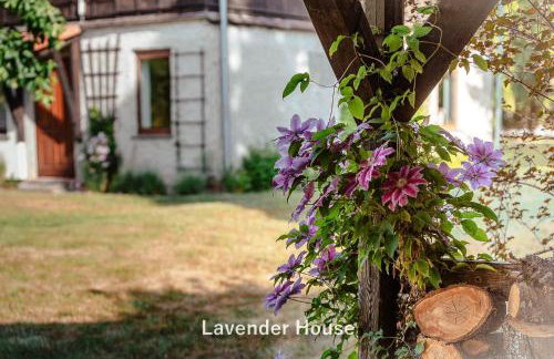 Lavender House - Foto 19
