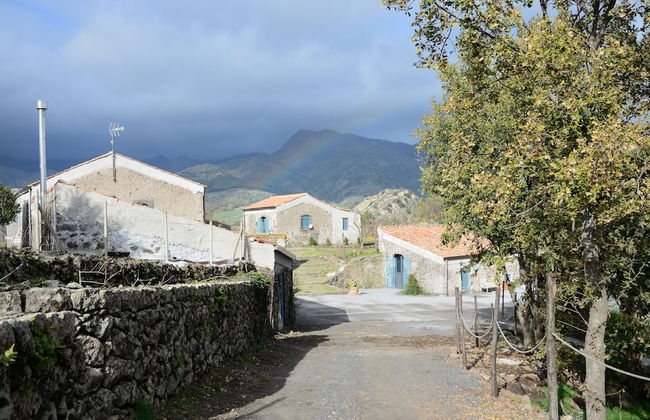 Il Tanaceto - Foto 43