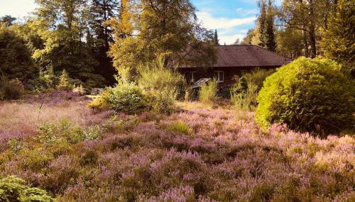 Landhaus mitten in der Lüneburger Heide - Foto 3, Garden