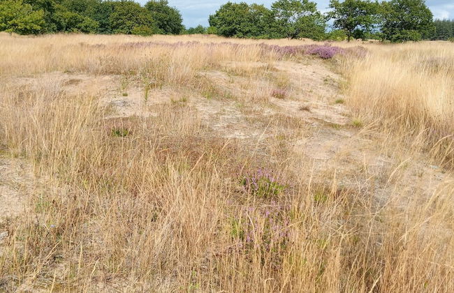 Holiday Home in Neukirchen Near Sylt Beach - Foto 35