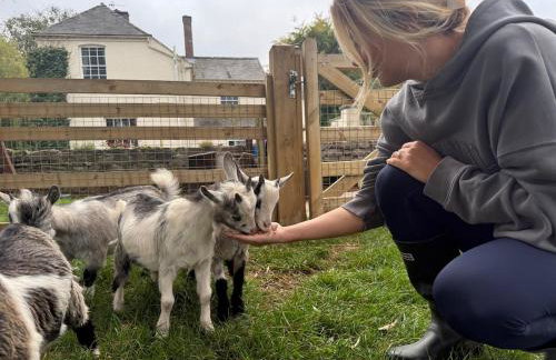 Boutique Countryside Studio with Farm Animals - Foto 12