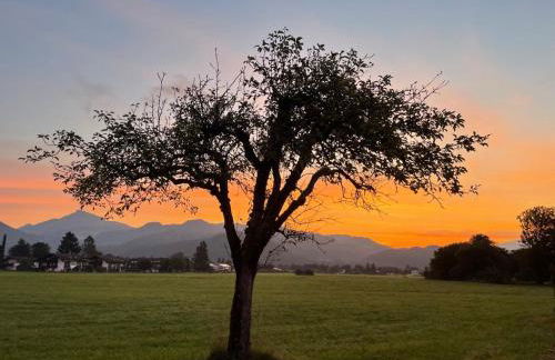 Ferienwohnung Kranzhornblick - Alpenmagie Suites - Foto 19