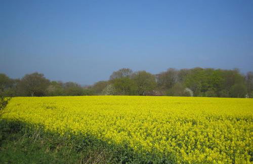 Ferienwohnung Haffblick - Foto 23