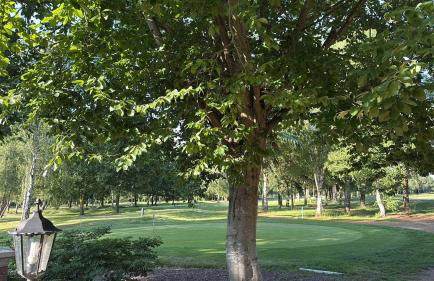 Golfing & Family Breaks in Luxury Lodge - Foto 28