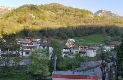 Apartamentos Andrea - Foto 9