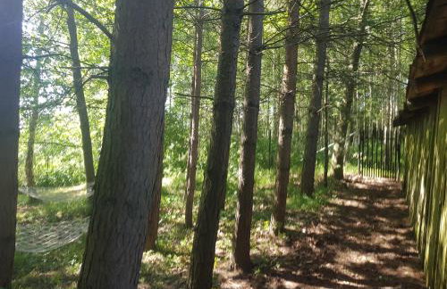 Dom na Warmii -Siedlisko Jabłonka - Foto 55