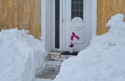 Apartman Orhideja - Foto 42