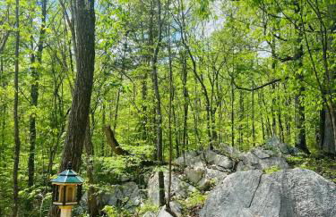 Enchanting Cottage In The Woods - Foto 12