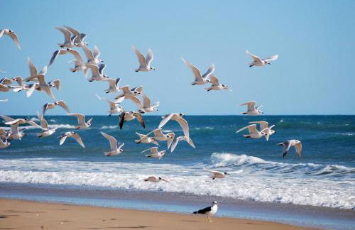 SPACIOUS FLAT WITH SEA VIEWS, FOR 8 PEOPLE WITH 3 BEDROOMS, 2 BATHROOMS and NEXT TO THE BEACH!! - Foto 8