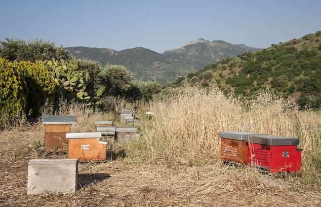 Agriturismo Bergi - Foto 71