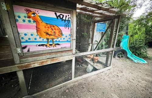 Quintal do Contêiner em Manguinhos - Photo 81