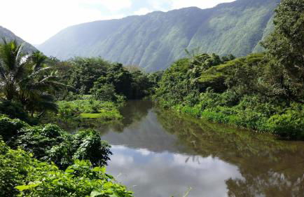 Maluhia Kahakai 2 Bedroom Condo by RedAwning - Foto 94