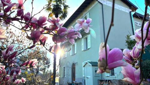 Casa Lario - Foto 3, Garden