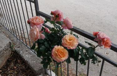 Apartment Vesna - Foto 50