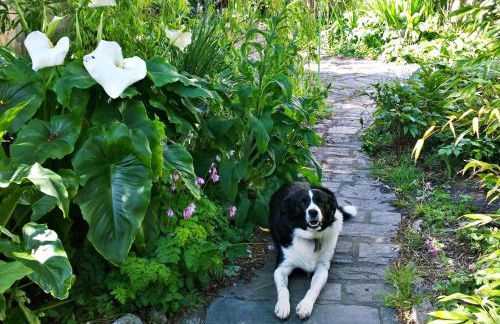 The Shire House - Photo 45