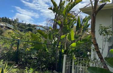 Stunning Hollywood Midcentury Modern-Views-Best Location! - Foto 39