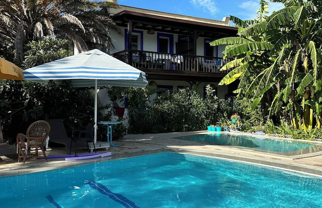 Paradise Gumusluk - Photo 31