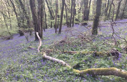 2 Bed in Liskeard oc-77914 - Photo 16