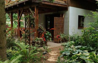 Dziki brzeg Jezioraka - Foto 3