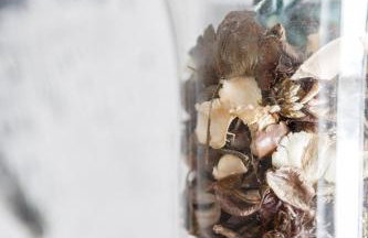 El Mirador del CAMPANARIO by Cadiz4Rentals - Foto 14