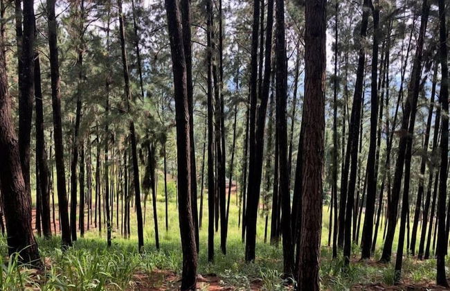 Amandari Holiday Villa - Foto 19