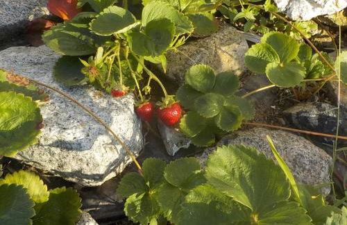 Okira beach house - Foto 26