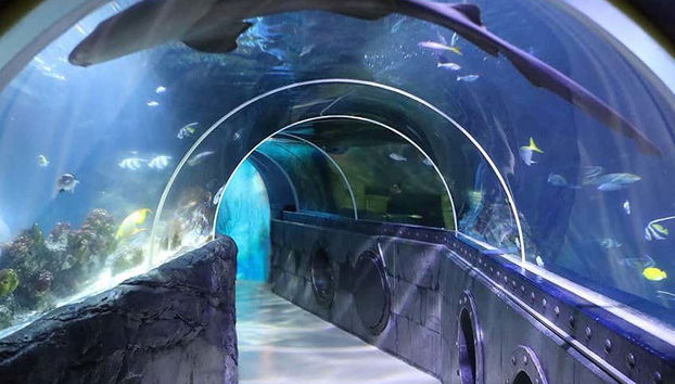 Túnel de vida marina