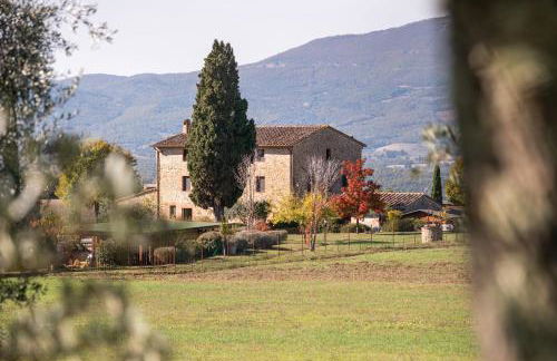 San Carlo a La Molinella - Photo 51