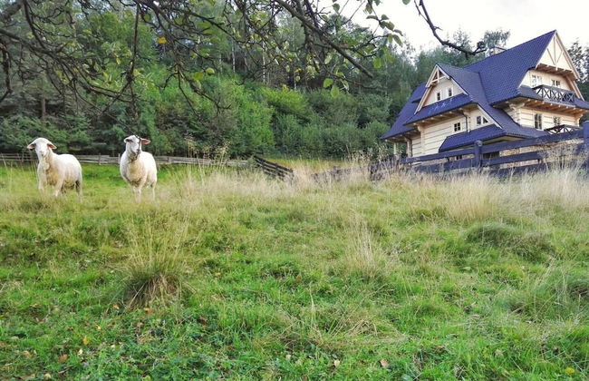 Beautiful Large Villa in Tylmanowa - Photo 23