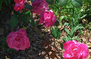 Casa Virginia - Foto 46