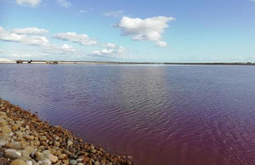 la maison du saunier - Foto 13